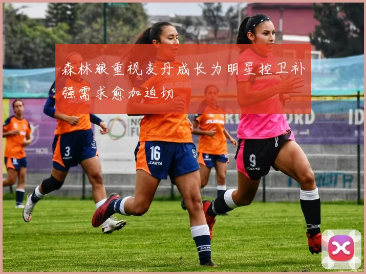 森林狼重视麦丹成长为明星控卫补强需求愈加迫切