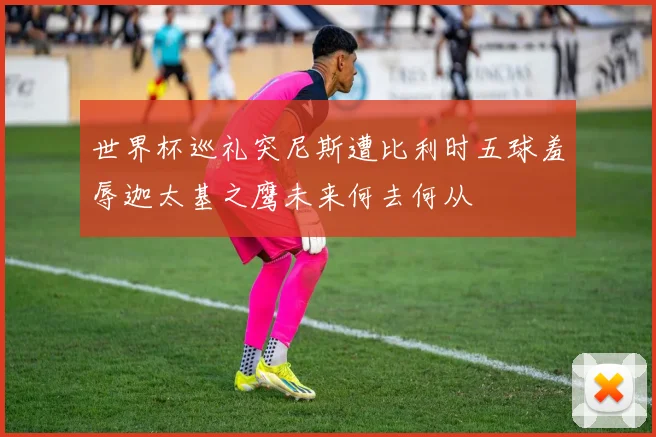 世界杯巡礼突尼斯遭比利时五球羞辱迦太基之鹰未来何去何从