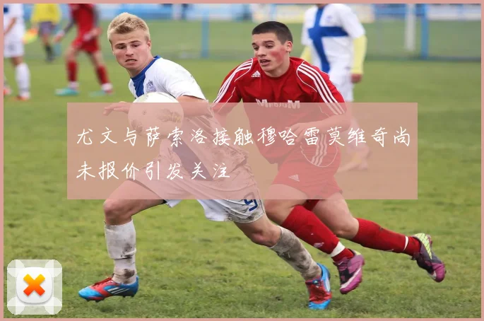 尤文与萨索洛接触穆哈雷莫维奇尚未报价引发关注